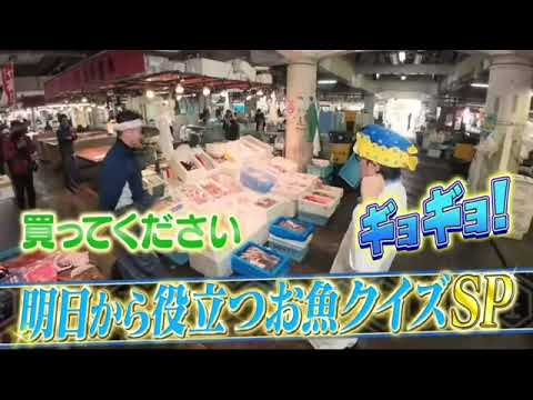 【見逃し配信】東大王5月1日＜難問オセロ/海の生き物/漢字さかなクン/魚市場/クイズ/TVer/再放送＞2024年5月1日FULL LIVE
