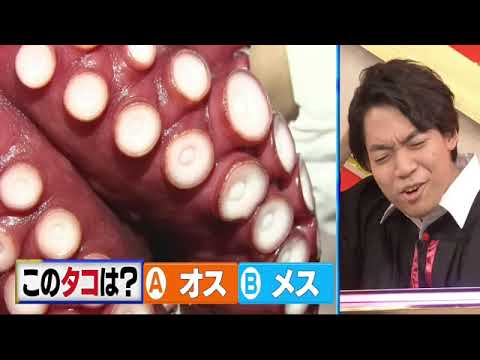 🔴ライブ配信 東大王5月1日＜さかなクン/魚市場/クイズ/難問オセロ/海の生き物/漢字/TVer/見逃し配信/無料視聴＞2024年5月1日FULL LIVE