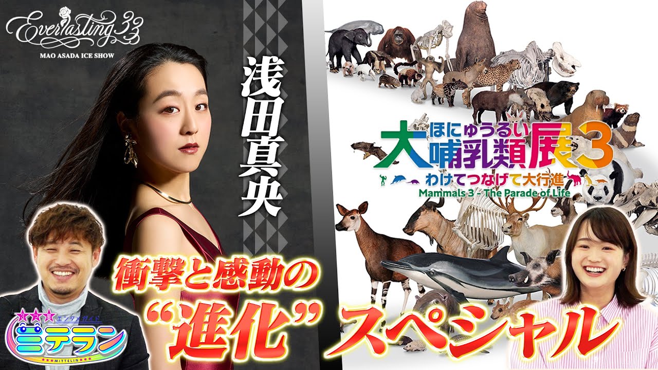 【３つ星エンタメガイド ミテラン👀🌈】　#8 浅田真央＆大哺乳類展 衝撃と感動の進化スペシャル