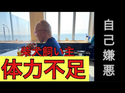 【柴犬飼い主54歳】飼い主の体力不足で柴犬の散歩が懸念される！