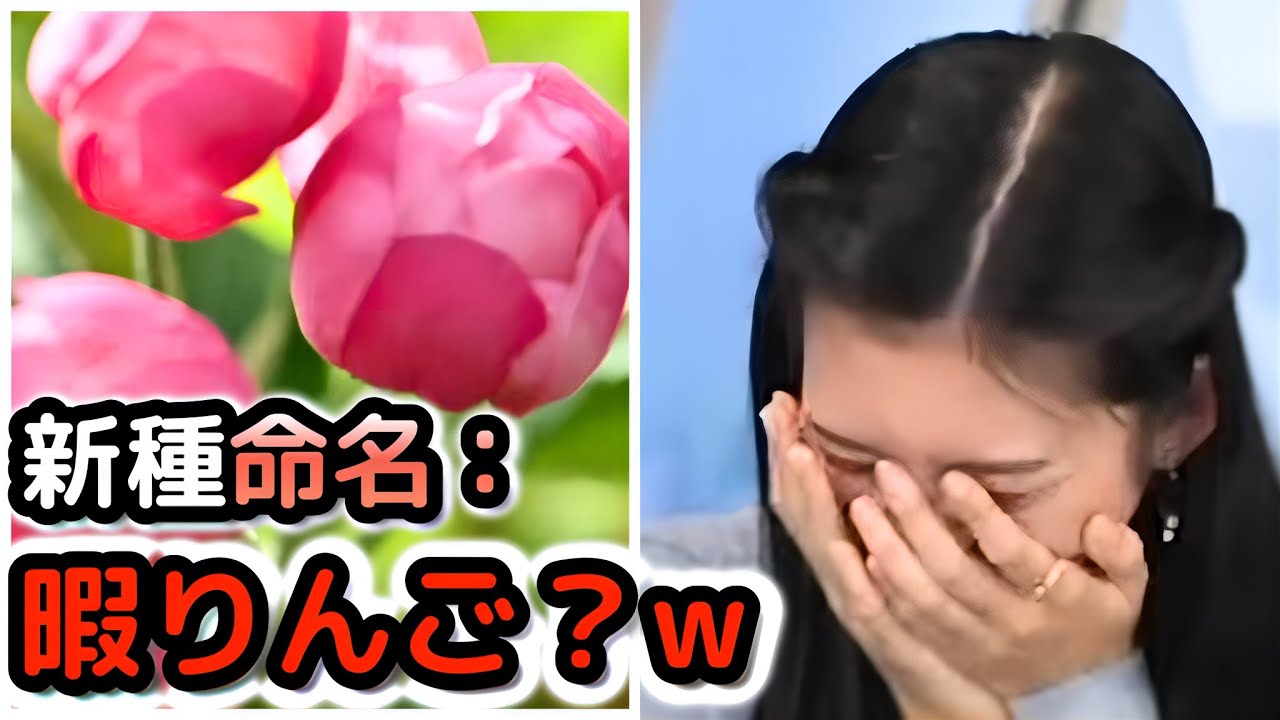 【大島璃音】新種発見！？　自分の言い間違いにツボり散らかす"お天気お姉さん"【ウェザーニュース切り抜き】