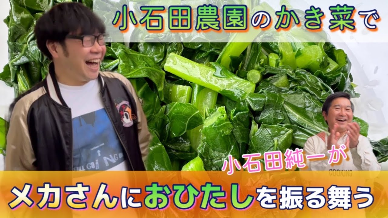【小石田の恩返し】メカイノウエさんにおひたしを作る【かき菜】