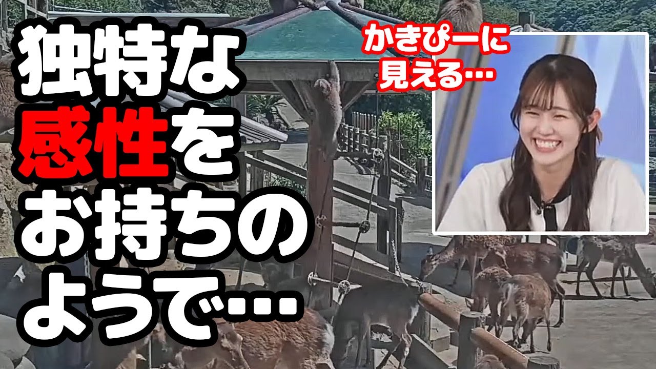 【青原桃香】淡路島モンキーセンターの映像を見ながら何故か柿の種を連想する独特な感性をお持ちのお天気キャスター