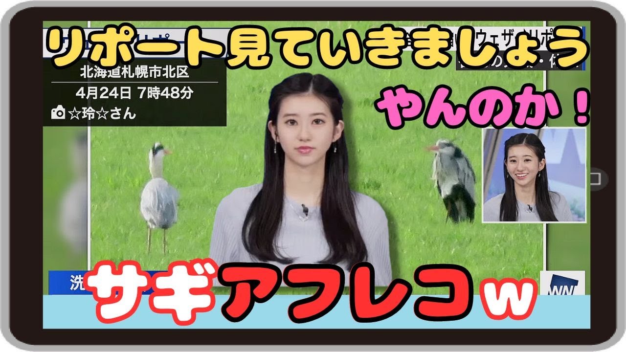 【大島璃音】『誰？誰なのあなたｗ』「コメントが秀逸な☆玲☆さんのウェザーリポート！風景が容易に想像できる のんちゃんのサギアフレコ」【ウェザーニュース】20240424