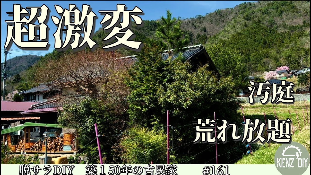 【脱サラ古民家DIY】森の様な汚庭を綺麗にしたい！数本の木を伐倒して超絶スッキリしました！　No.162