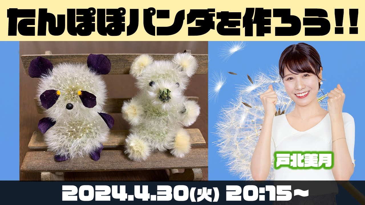 【GW企画】綿毛で作る！たんぽぽパンダを作ってみよう！／2024.4.30(火)20:15〜〈戸北美月〉