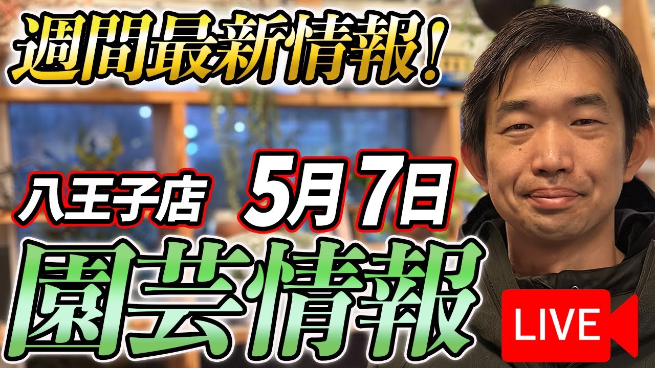 【最新情報】5月7日 グリーンギャラリーガーデンズ入荷情報を一挙公開！【特別版】