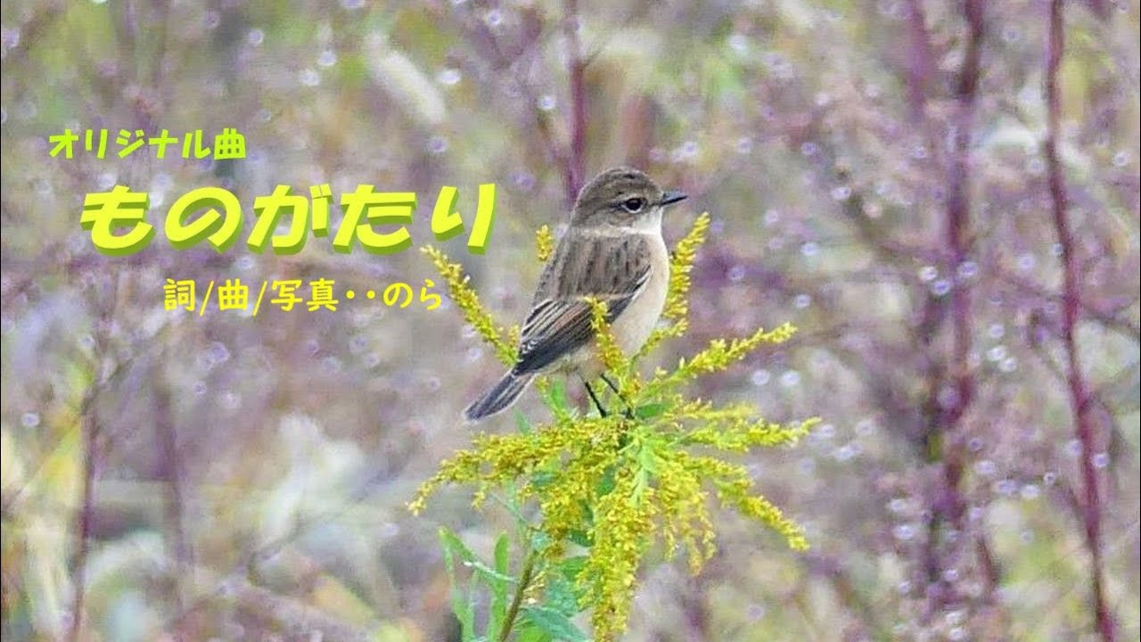 108   オリジナル曲『ものがたり』詞/曲/写真/・のら