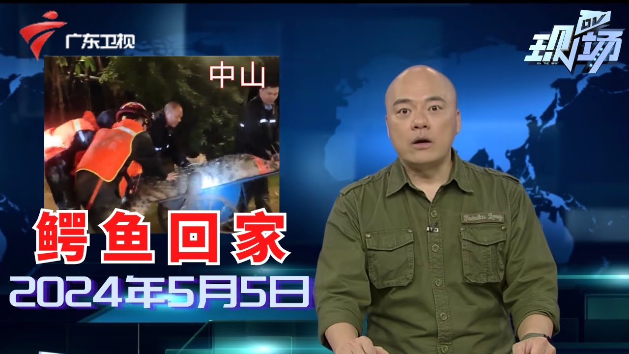 【DV现场】中山:“出逃”鳄鱼全部寻回,神湾医院恢复诊疗|中山三角:杨国福麻辣烫选菜区出现老鼠,被食客曝光|业主投诉:收楼不到半年,房屋多处漏水|20240505完整版#粤语 #news