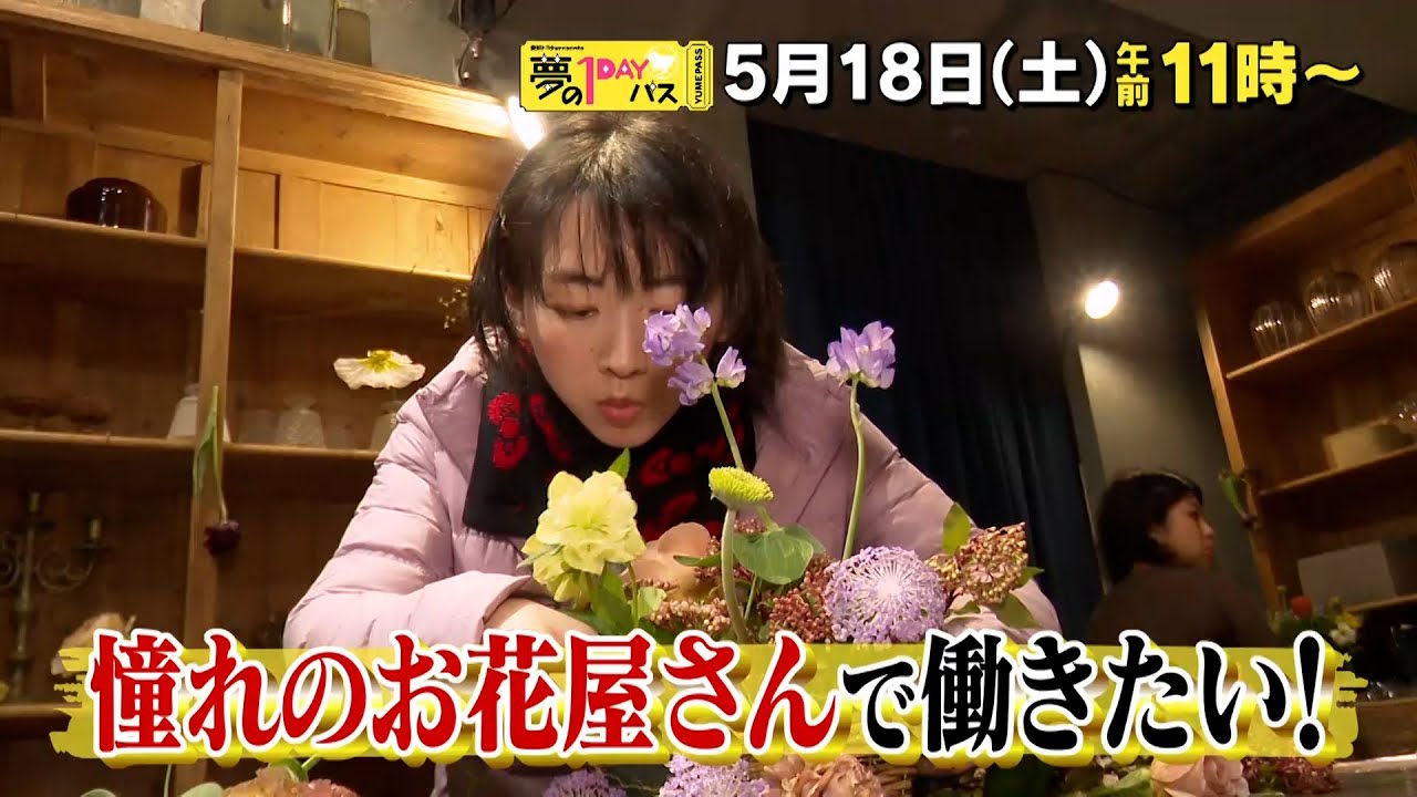 【予告】「夢の１DAYパス」5月18日（土）午前11時～