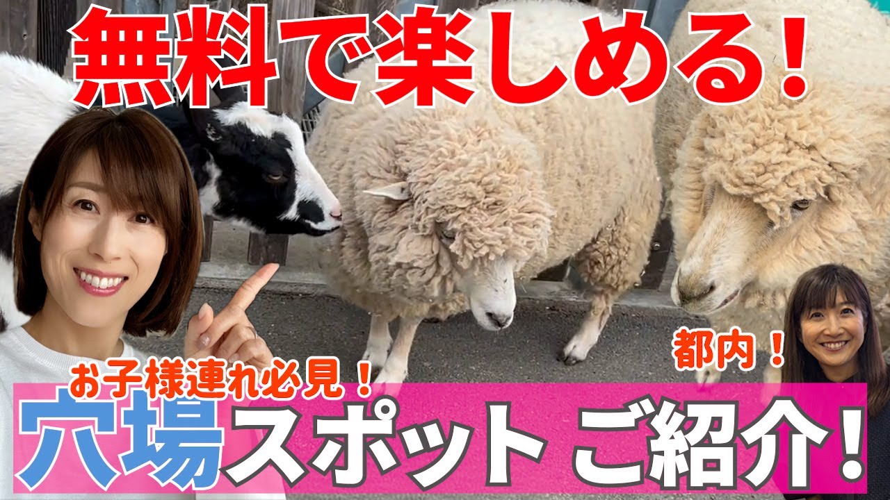 #93 【都内穴場スポットに行ってきた！】GW中も混雑してないので、ホントに穴場かも！？