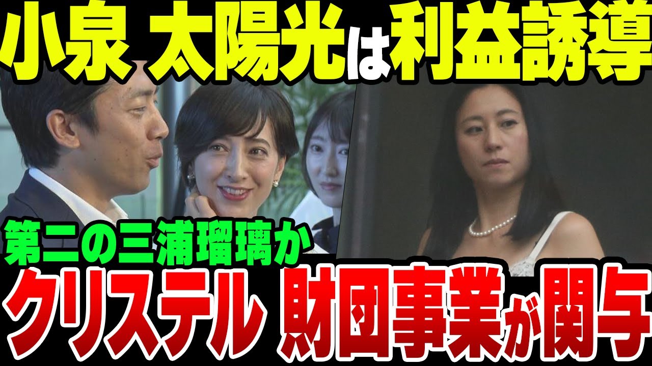 小泉環境大臣の対横パネルごり押し、奥さんの滝川クリステル財団の利権に思いっきり絡んでいた模様【ゆっくり解説】