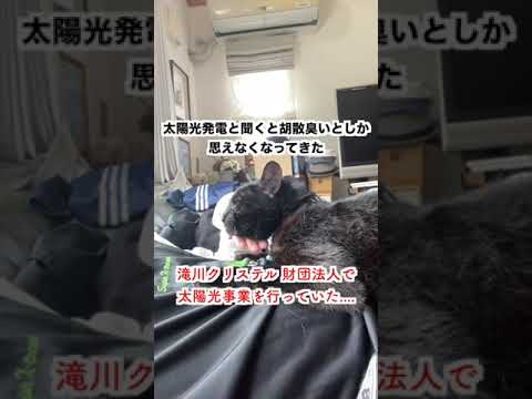 【批判殺到】小泉進次郎の妻 滝川クリステルが財団法人として太陽光事業を行なっていた....