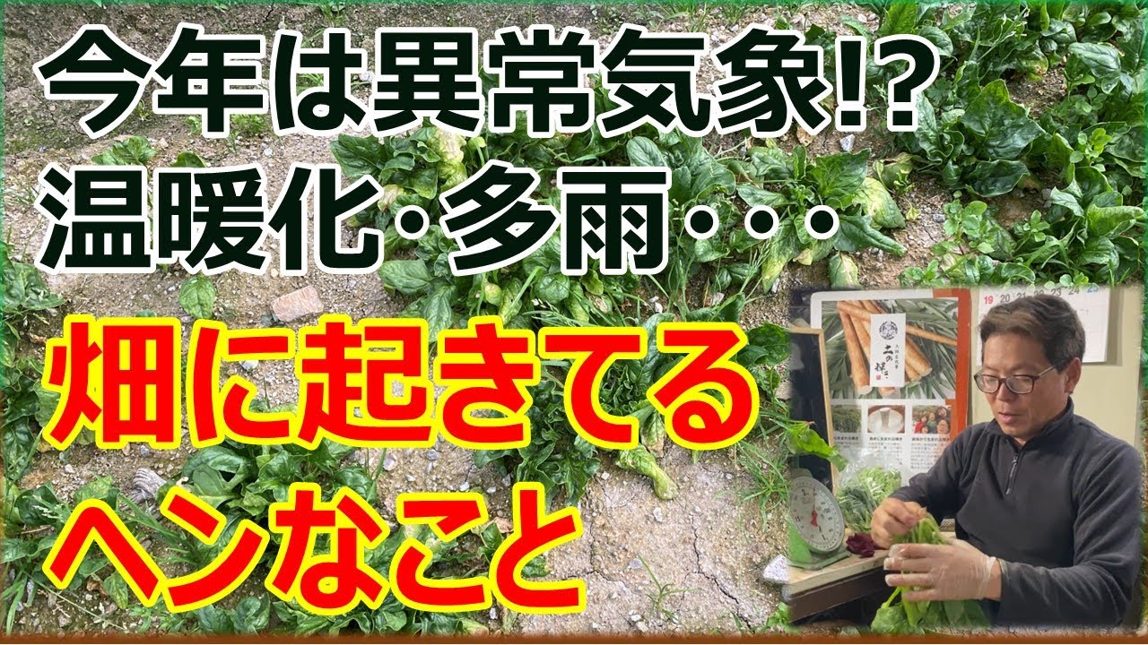 うちの畑で起きている例年とは異なる変なこと