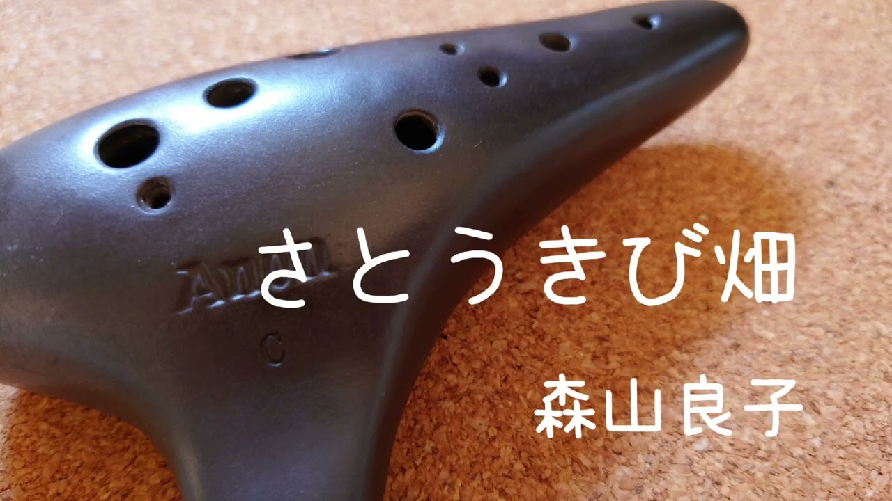 【 さとうきび畑 / 森山良子】オカリナ演奏/虹笛(ocarina /nijibue)　