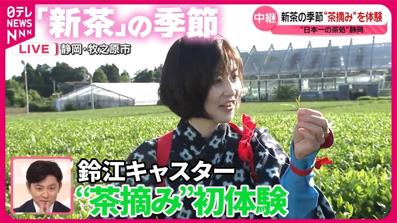 【今が旬！】鈴江キャスターが静岡で“茶摘み”体験  “進化形”お茶グッズ＆スイーツは？