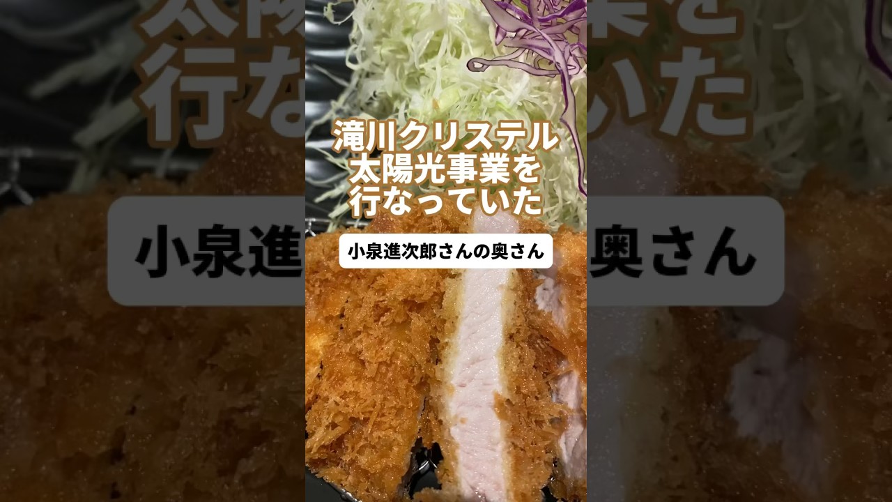 【滝川クリステル】太陽光事業を行なっていた