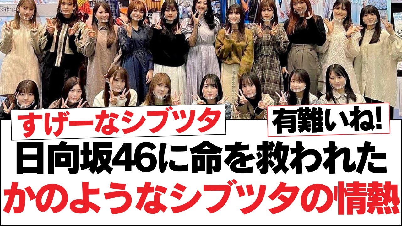 日向坂46に命を救われたかのようなシブツタの情熱【日向坂・日向坂で会いましょう】