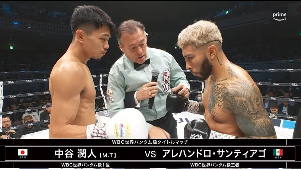 谷潤人 vs. アレハンドロ・サンティアゴ TKO, ハイライト | Junto Nakatani vs. Alexandro Santiago - HIGHLIGHTS HD