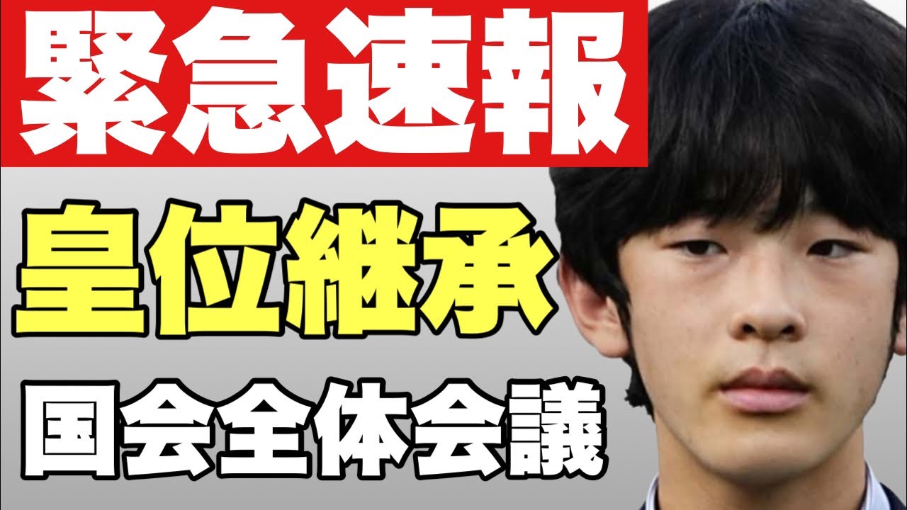 【緊急速報】※概要欄をお読みください。皇位継承について国会全体会議