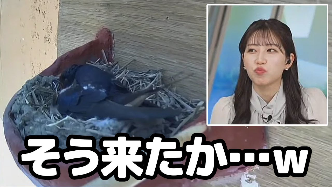 【魚住茉由】つーちゃんの旦那さんの名前を付けるも想像の斜め上を行くお天気キャスター