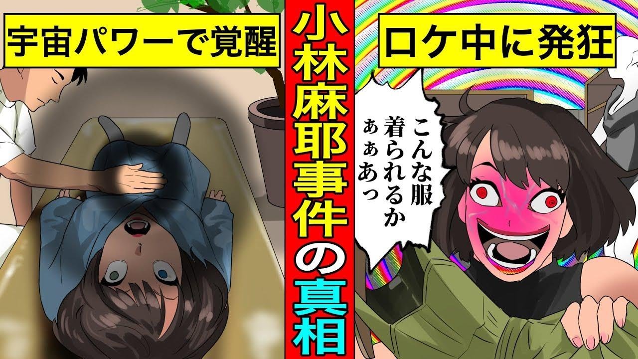 【実話】小林麻耶事件のヤバすぎる真相