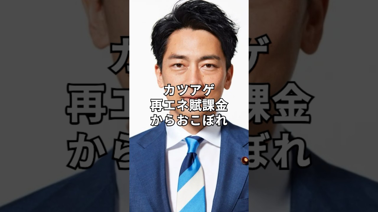 償え！メガソーラーを阿蘇山、釧路、知床に導いた小泉進次郎とその周辺の再エネ利権集団達を許すな！