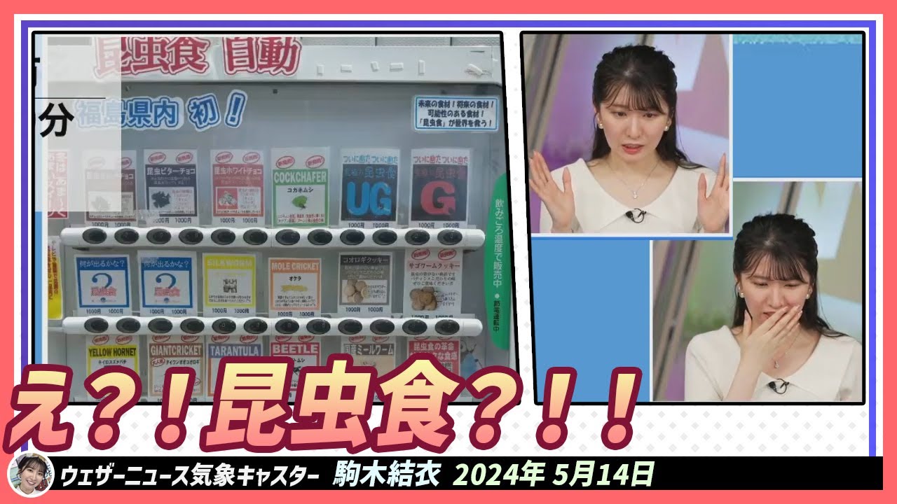 【駒木結衣】 え？！昆虫食？！！