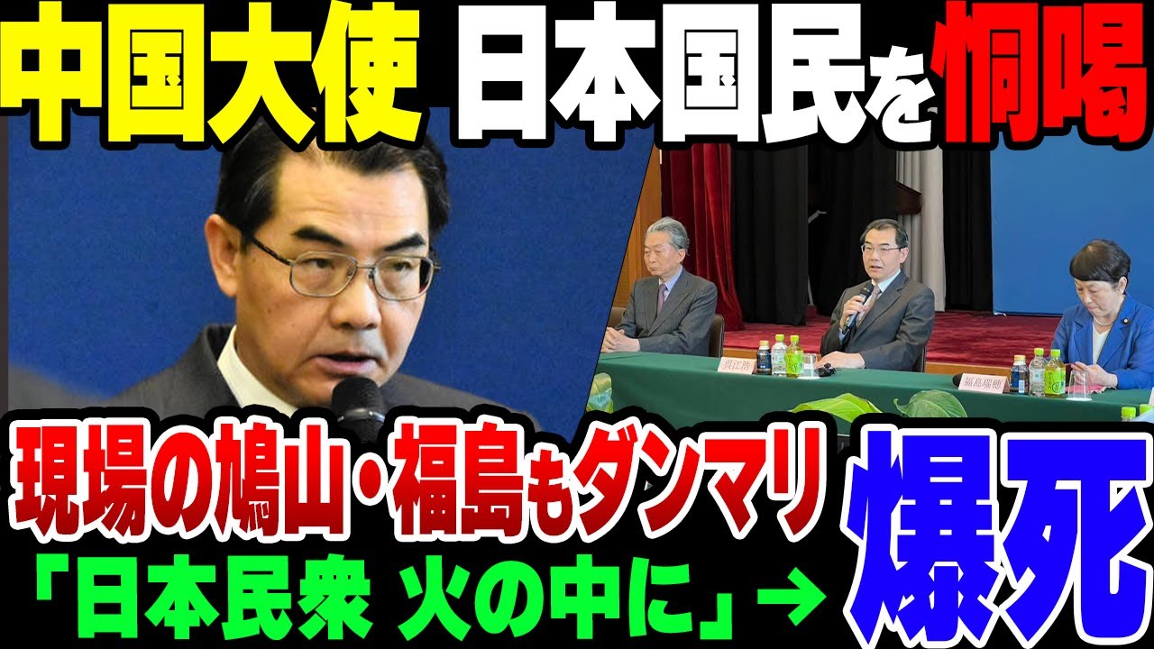 【ゆっくり解説】中国大使「日本の民衆を火の海に」→炎上　その場にいた鳩山由紀夫と福島瑞穂も炎上