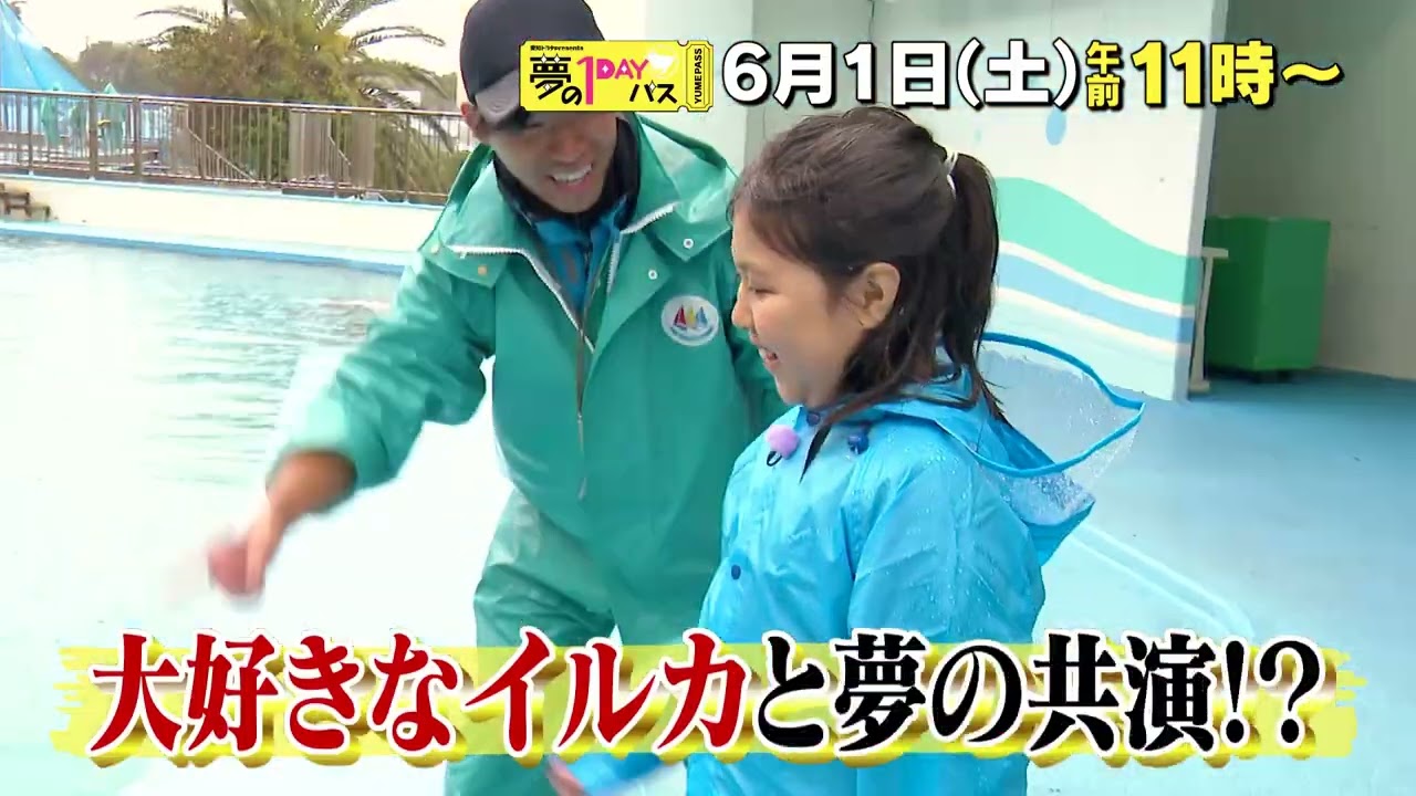 【予告】「夢の１DAYパス」6月1日（土）午前11時～