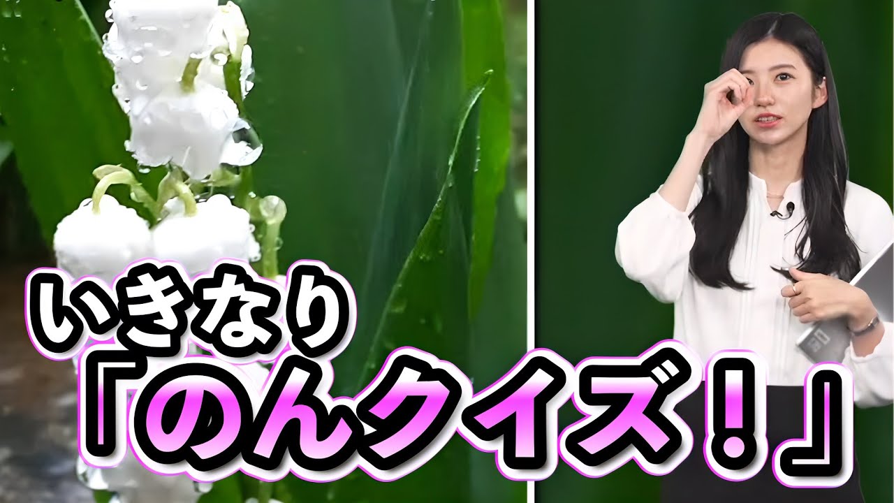 【大島璃音】「なぜ水滴は、球体なのか分かりますか？」いきなりクイズを始めるお天気お姉さん【ウェザーニュース切り抜き】