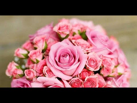 T2- RCC元アナ・河村綾奈、カープ新井良太コーチと結婚【報告全文】 ラジオリスナーも歓喜