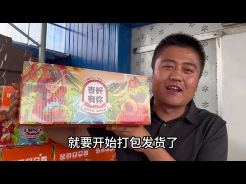 很多人认为杏子酸不敢吃，小夫妻一天卖1000单，给大家分享，