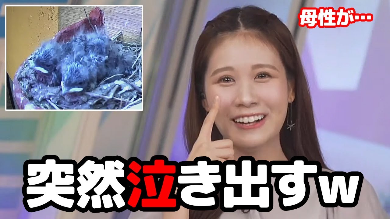 【戸北美月】ツバメライブ映像を見てたら急に母性が溢れてしまったのか突然泣き出すお天気キャスター
