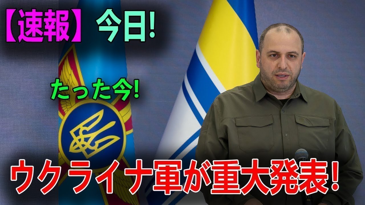 【ウクライナ戦況】最新ニュース 2024年5月29日