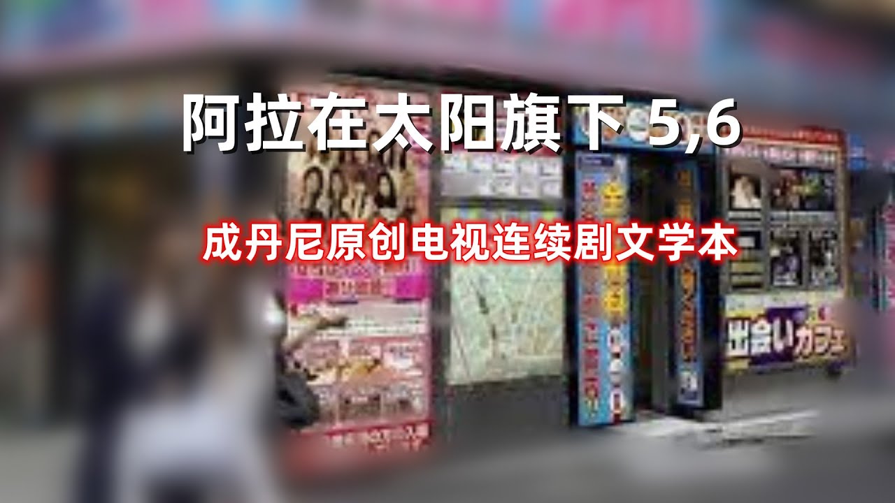 阿拉在太阳旗 下 5，6
