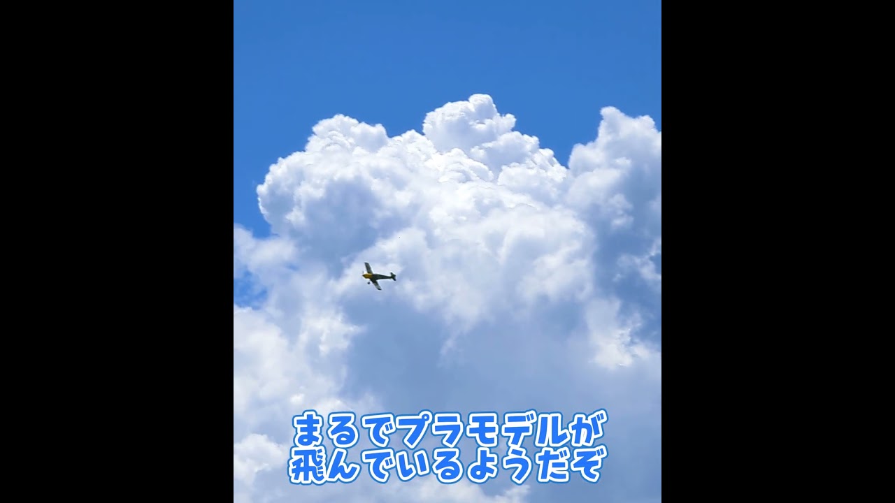 ラジコン飛行機の着陸 #ラジコン #ラジコン飛行機