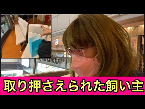 【柴犬飼い主54歳】空港内で取り押さえられました！