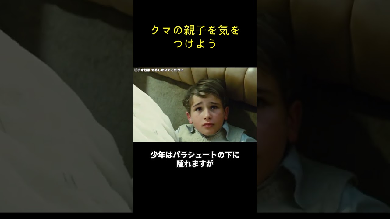 クマの親子を気をつけよう
