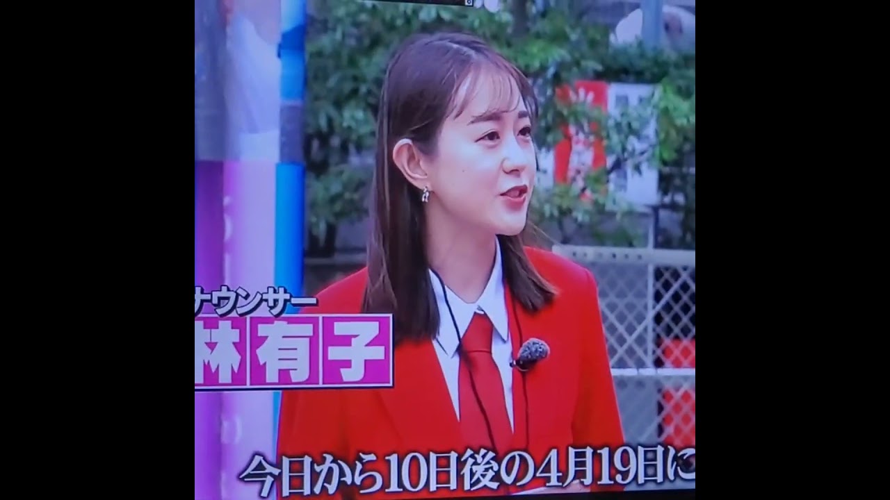 かわいい！わかばちゃん、若林有子アナ　#shorts　20240529