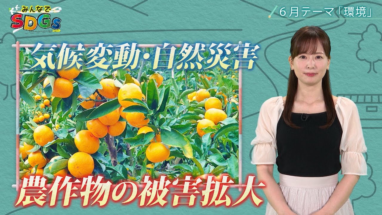 みんなでSDGs #10 |2024年6月6日放送