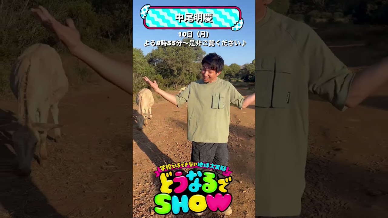 #中尾明慶 アフリカからメッセージ!!🦁『どうなるでSHOW』