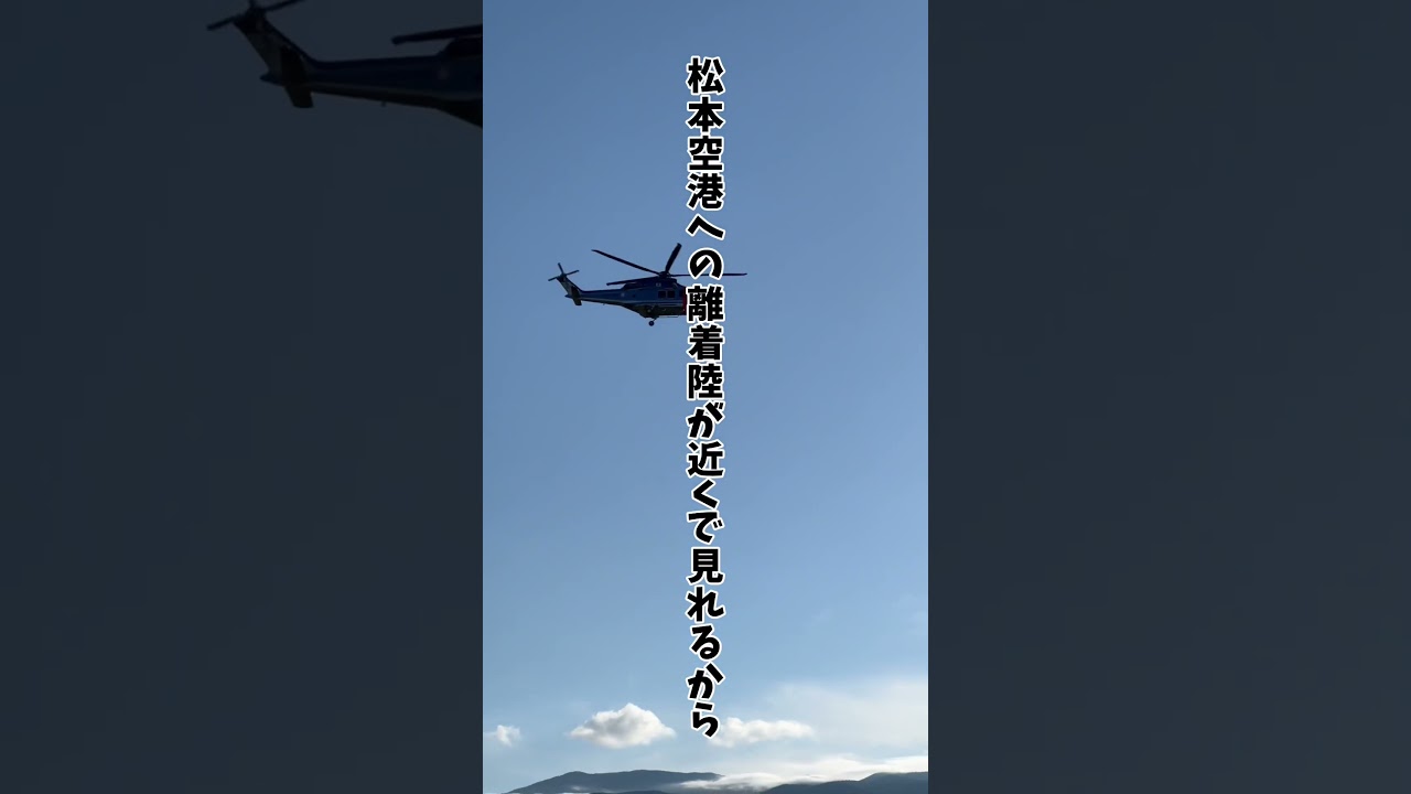 #shorts #信州スカイパーク#松本空港#ローズガーデン