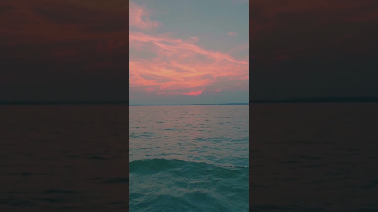 海を見ながら #平和な日常#shorts