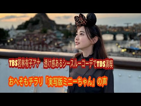 TBS若林有子アナ　透け感あるシースルーコーデでTDS満喫　おへそもチラリ「実写版ミニーちゃん」の声