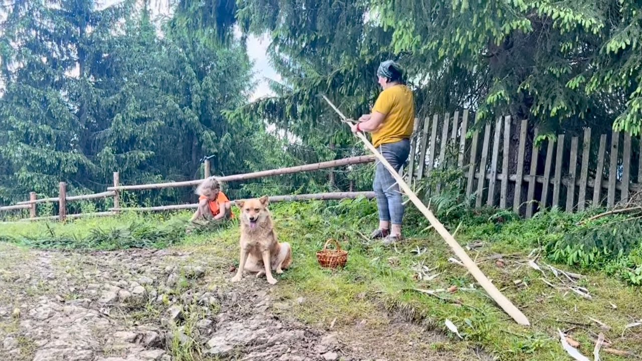 3 days Life in a mountain village: mushroom paradise while mowing hay
