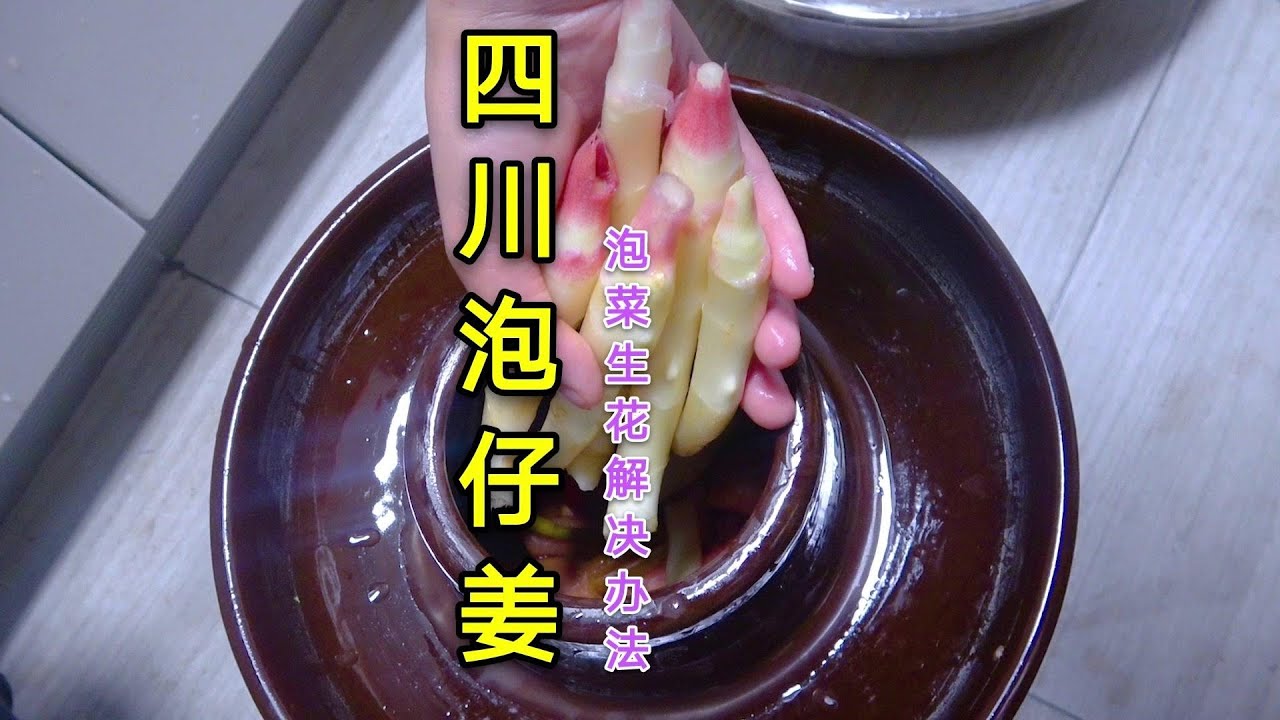 用新鲜仔姜做一坛四川泡菜，顺便分享泡菜生花的解决办法，超实用