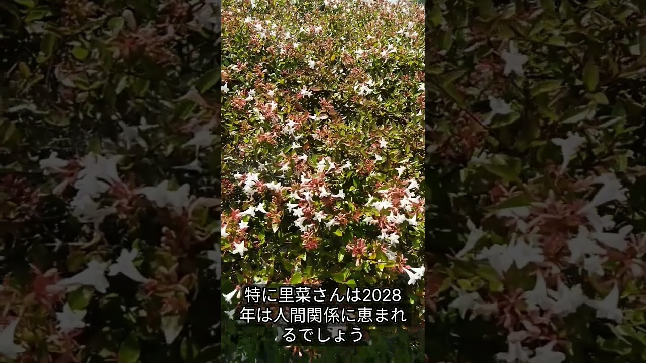 中丸雄一さんと笹崎里菜さんの相性#shorts#占い#結婚