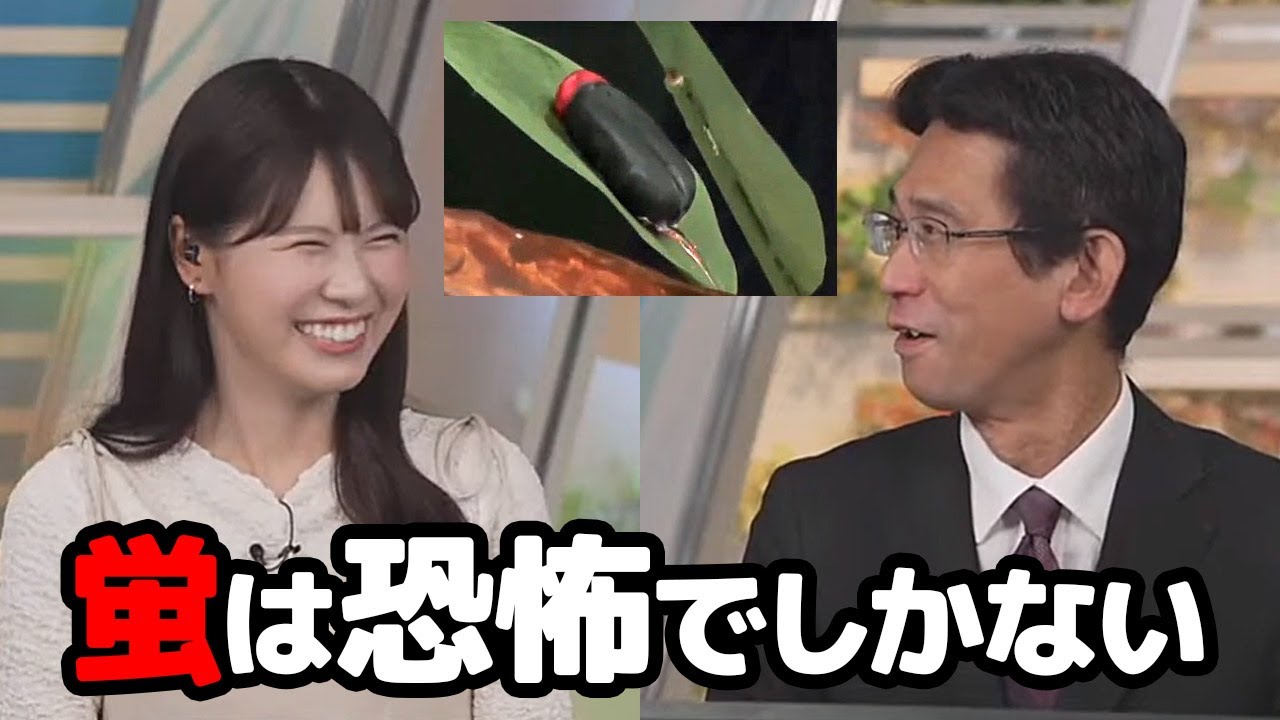 【戸北美月・山口剛央】実際のホタルは恐怖を覚えたけど電飾の虫はゆかりんに強制的に作らされた予報士さん