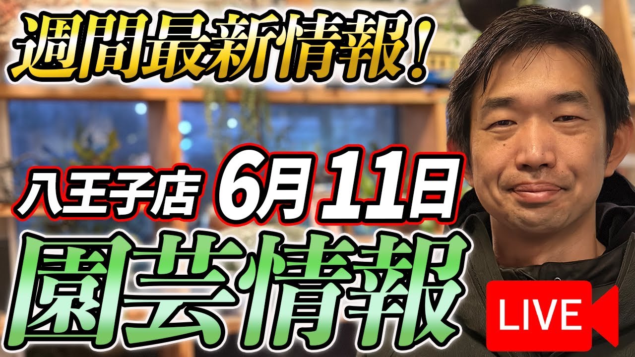 【最新情報】6月11日 グリーンギャラリーガーデンズ入荷情報を一挙公開！【特別版】